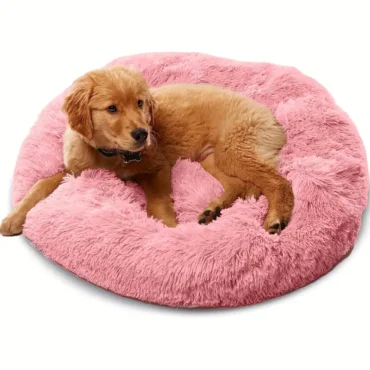 dog bed