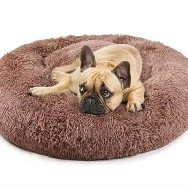 dog bed wholesale