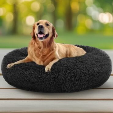 pet bed