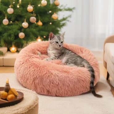 buy pet bed
