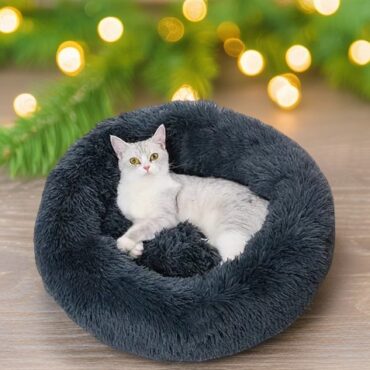 pet bed for dogs