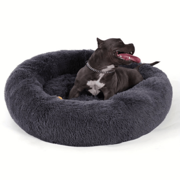 dog bed