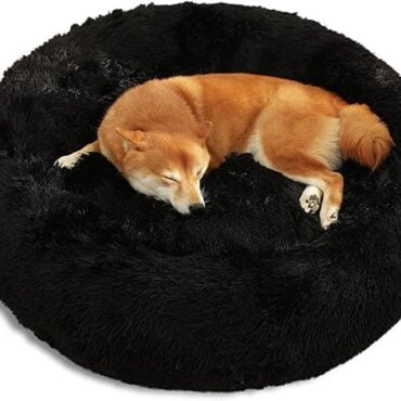 dog wholesale furniture PET BED CAT HOUSE DIALER SUPPLIAR manufacturer in india online dog bed