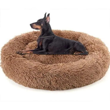 dog wholesale furniture PET BED CAT HOUSE DIALER SUPPLIAR manufacturer in india online