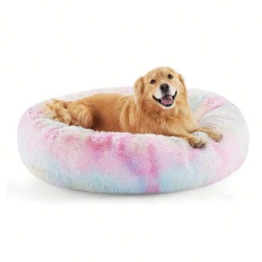 dog bed wholesaler