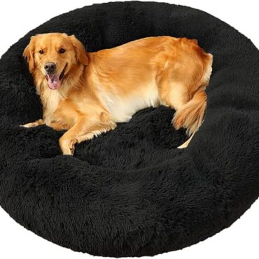 dog wholesale furniture PET BED CAT HOUSE DIALER SUPPLIAR manufacturer in india online