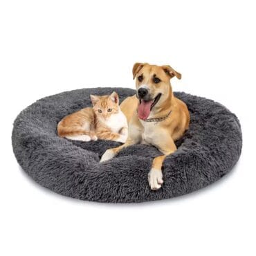 dog wholesale furniture PET BED CAT HOUSE DIALER SUPPLIAR manufacturer in india online