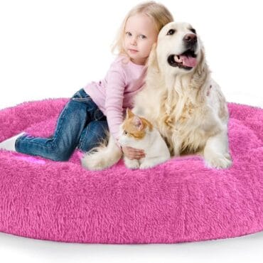 dog wholesale furniture PET BED CAT HOUSE DIALER SUPPLIAR manufacturer in india online