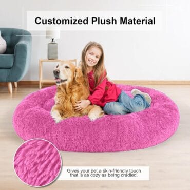dog wholesale furniture PET BED CAT HOUSE DIALER SUPPLIAR manufacturer in india online